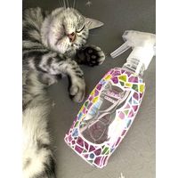 （限定）シュシュット！オシッコ・ウンチ専用 消臭剤 国産 猫用 300ml 1個 オリジナル 限定