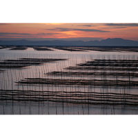 永井海苔 海苔膳 焼のり 有明海産 早摘み原料使用 板のり5枚入 1袋