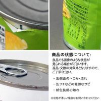 サンスクイーズ グレープフルーツ 411g 1個 オーバーシーズ 缶詰 フルーツ缶