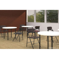 【軒先渡し】SANKEI CF76・77 フォールディングチェア ブラウン×ワインレッド CF77-MXD-WRE 1脚（直送品）