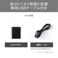 ヘアアイロン コンパクト USB給電式 海外OK モバイルバッテリー対応 パールグレージュ TS310A-C テスコム 1個（直送品）