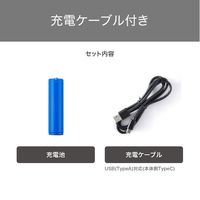 ヘアアイロン コードレス モバイル 充電式  キャップ付 海外対応 メタリックグレー TS510A-H テスコム 1個