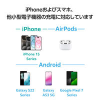 モバイルバッテリー 大容量 軽量 USB-C×2 最大 20W 10000mAh EC-C14LBK エレコム 1個