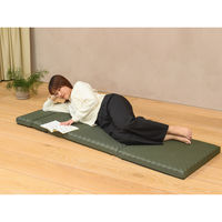 西川 ごろ寝マットスイート 五つ折り仕様 高反発ウレタン コンパクト収納 休憩 レジャー 防災対策にも グリーン 1枚