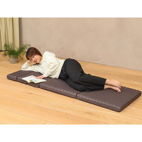 西川 ごろ寝マットスイート 五つ折り仕様 高反発ウレタン コンパクト収納 休憩 レジャー 防災対策にも ブラウン 1枚