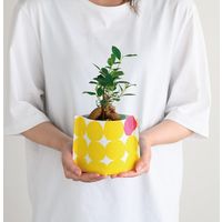 ヘッズ ポリフハンドメイドポットカバー-S(1枚) POR-HMS 1セット(5パック×1枚)（直送品）