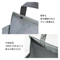 ヘッズ ウェーブクールバッグ-2 WV-2CB 1セット(1パック(10枚)×3)