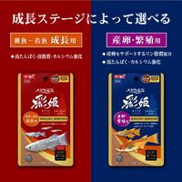 メダカ元気 彩姫 産卵・繁殖用 超ソフト顆粒 ミニスプーン付 国産 40g 1セット（1袋×3）ジェックス