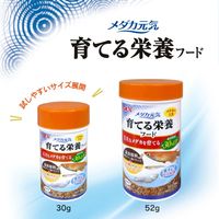 メダカ元気 育てる栄養フード 52g 無着色 観賞魚 1セット（1個×3）ジェックス