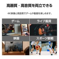 HDMI音声分離器 4K60Hz 光デジタル アナログ対応 ASC-HDAV121BK エレコム 1個