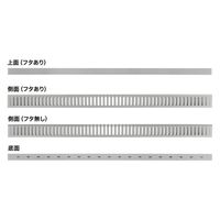 サンワサプライ 配線ダクト（W33×H65×D1000mm） CA-D31L 1個（直送品）