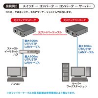 サンワサプライ 光メディアコンバータ LAN-NGC200 1個（直送品）
