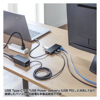 サンワサプライ USB Type-C ドッキングステーション USB-DKM7BK 1個（直送品）