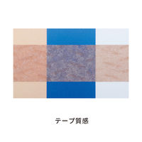 スリーエム 3M マイクロポア スキントーン サージカルテープ（医療用テープ） 肌色 25mm×9.1m 1533SP-1 6巻入