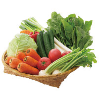 シロカ siroca ミル付ミキサー SJM-180G 1個