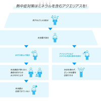 【スポーツドリンク】アクエリアス パウチ ハンディパック 300g 1箱（30個入）（冷凍可能）（熱中症対策）