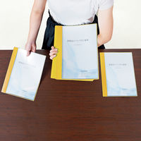 プラス クリアファイルスリム FLー190CF イエロー FL-190CF イエロ- 1冊