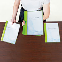 プラス クリアファイルスリム グリーン FL-190CF グリ-ン 1冊