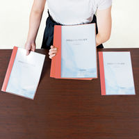 プラス クリアファイルスリム ピンク FL-190CF 1冊