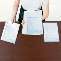 プラス クリアファイルスリム FLー190CF ホワイト FL-190CF 1冊（直送品）