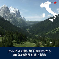 モトックス サンペレグリノ 250ml 1セット（48本）