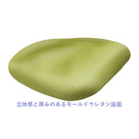 DUOREST コンフィー オフィスチェア ファブリック 肘付 グリーン DR-260SP(DGR) 1脚 背座：布張り 脚幅580、座幅480mm