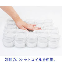 SEKI　レザーポケットコイルチェア2 オフィスチェア ローバック レザー張り ライトブラウン 1脚