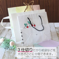 セキセイ　ブックスタンド　クリスタルラック　スモーク　265mm幅　3仕切