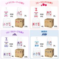 ライオン キレイキレイ 薬用泡ハンドソープ フルーツミックスの香り 詰め替え 業務用2L 1個 【泡タイプ】（直送品）