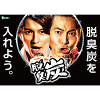 エステー 脱臭炭こわけ下駄箱用 大型 1セット（9個）