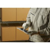 制電ラインパーム手袋 S 1双 A0170-S ショーワグローブ