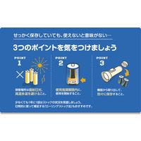 パナソニック　アルカリ乾電池　エボルタ　単3形　LR6EJ/12SW　1セット（24本：12本入×2パック）