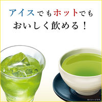 【水出し可】伊藤園 おーいお茶 緑茶 (抹茶入り) エコティーバッグ 1セット（400バッグ：20バッグ入×20箱）