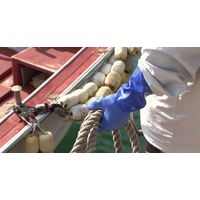 【耐油手袋】 ショーワグローブ 塩化ビニール手袋 耐油ロングビニローブ（裏布付） No.660 ブルー LL 1双