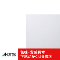 エーワン（A-one）ラベルシール 下地が隠せる 訂正・修正用 プリンタ兼用 封筒 シール ステッカ― A4 65面  12シート  31569