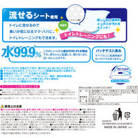 水99.9％ おしりふき 流せるタイプ 1パック（60枚入×3個×16パック） レック
