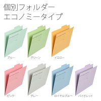 プラス 個別フォルダー A4E ブルー FL-081IF 1パック(10枚入)