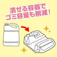 スーパーサラセン（C-4） 業務用4kg 1箱（4本入）