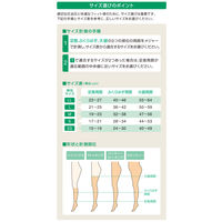 アルケア アンシルク・2 パンティーストッキング ライトブラウン LL 18511 1足