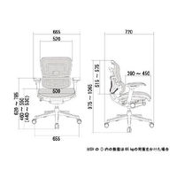 【組立設置込】エルゴヒューマン ベーシック ロータイプ オフィスチェア エラストメリックメッシュ 肘付  ブラック/KM11 EH-LAM 1脚（取寄品）