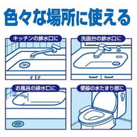 小林製薬のかんたん洗浄丸 排水口クリーナー レギュラー 12錠