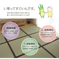 イケヒコ い草 置き畳 ユニット畳 国産 半畳 単品 『かるピタ』 約82×82cm （裏：すべりにくい加工） 1枚（直送品）