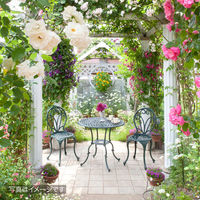 タカショー フロール ガーデンチェアー IGF-C04 1個