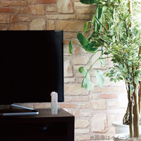 エアダスター エアスプレー 2Way エコ DME(ノンフロン) 逆さ使用可能 AD-ECO2WAY エレコム 1本（直送品）