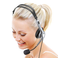 サンワサプライ マルチメディアPCヘッドセット MM-HS507NCN 1個