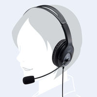 サンワサプライ USBヘッドセット MM-HSUSB17BK 1個（直送品）