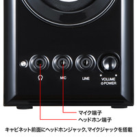 サンワサプライ 木製2chマルチメディアスピーカー MM-SPWD2BKN 1個（直送品）