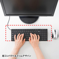 サンワサプライ 英語配列USBスリムキーボード 有線 パンタグラフ ブラック SKB-E2U 1個（直送品）