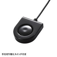 サンワサプライ HDMI対応手元スイッチ付きパソコン自動切替器(2:1) SW-KVM2WHU 1個（直送品）