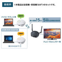 サンワサプライ ワイヤレスHDMIエクステンダー VGA-EXWHD6 1個（直送品）
